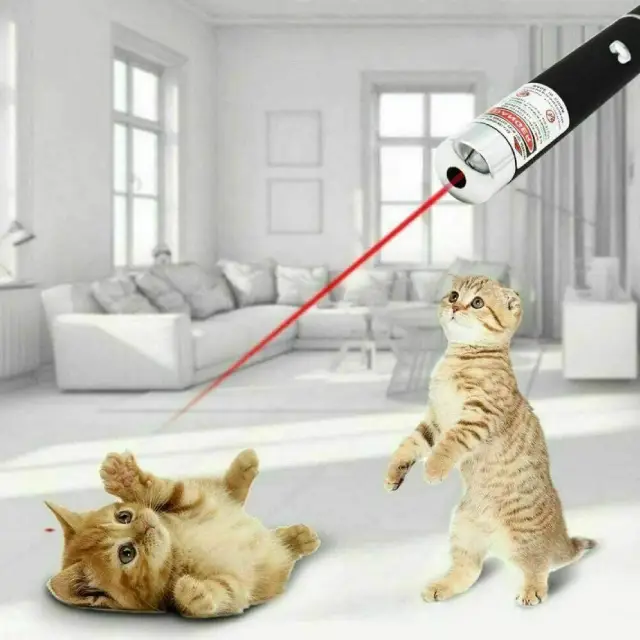 1mW Laser Pointer Pen in Red, Green, and Purple beams