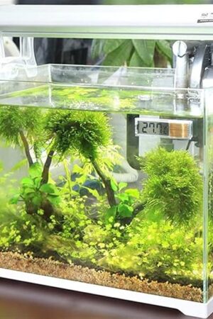 aquarium thermometer