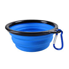 best for dogs and cats