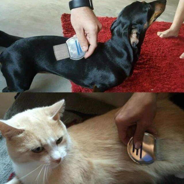 eco-friendly-lice-and-flea-comb-sellertree