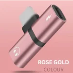 iPhone X Dual Lightning Adapter