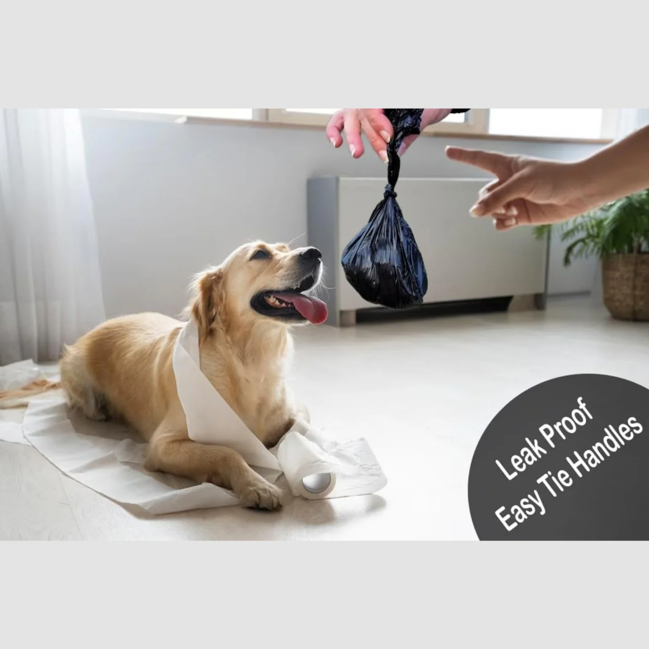 pet products uk