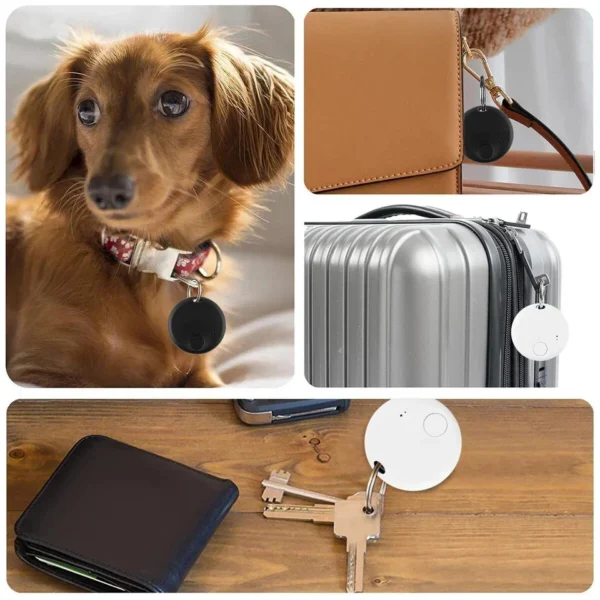 pet tracker