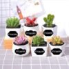 stickers for kitchen plants