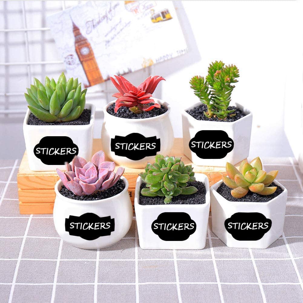 stickers for kitchen plants