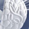 4d cloud technology men insoles (2)1