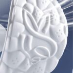 4d cloud technology men insoles (2)1