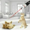 Pet Laser pen UK