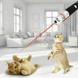 Pet Laser pen UK