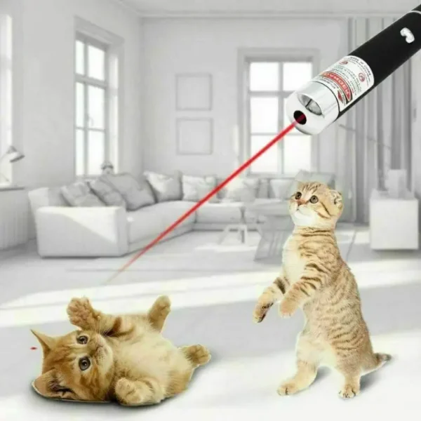 Pet Laser pen UK