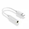 Type C earphone adapter UK