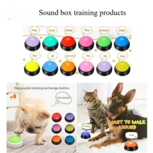 dog-training-sellertree-uk