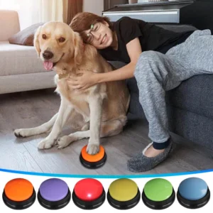 dog-voice-button-training-sellertree-uk