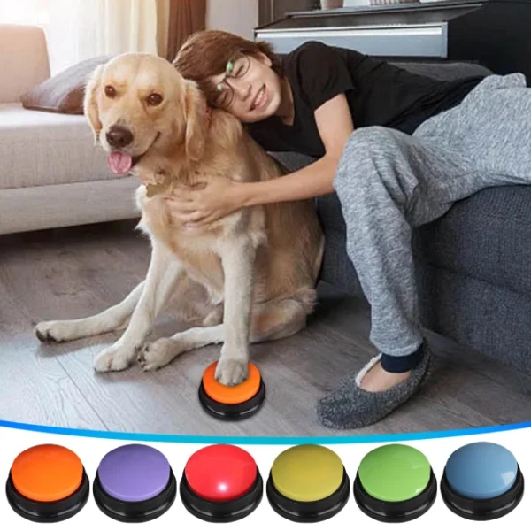 dog-voice-button-training-sellertree-uk