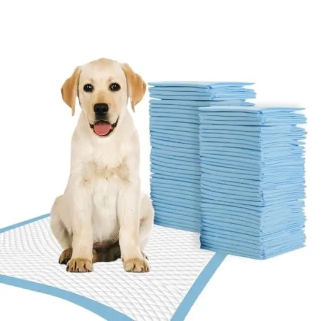 leak-proof-training-pads-sellertree-uk