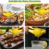 manual lemon squeezer (4)