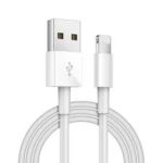 Lightning to USB-A Cable best product
