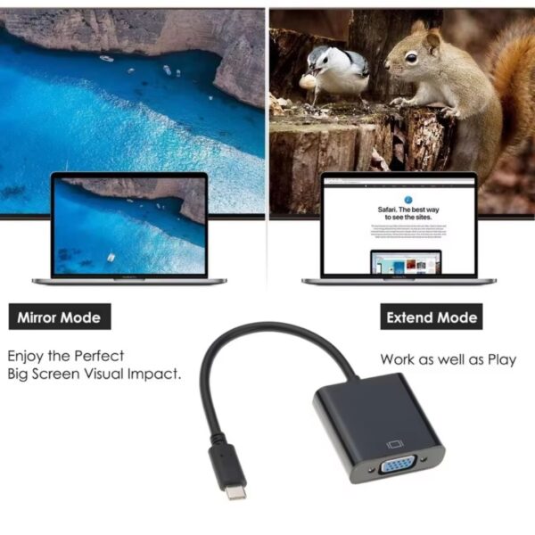 Type C to VGA Adapter (2)