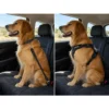 chew resistant dog car tether