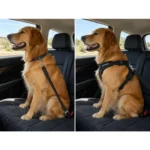 chew resistant dog car tether