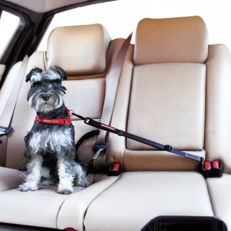dog car safety strap,