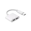 dual type c adapter