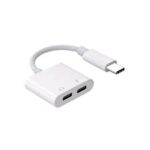 dual type c adapter