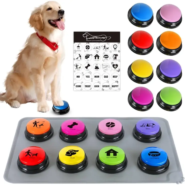 interactive dog training toys,