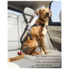 black car seat belt for dogs