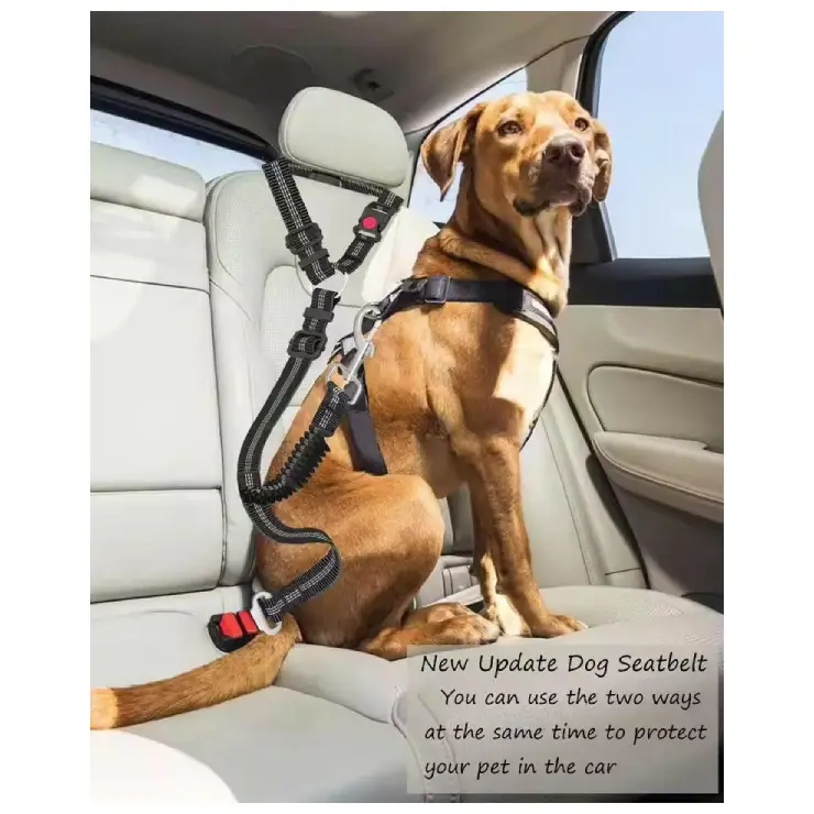 black car seat belt for dogs