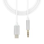 type c to 3.5mm cable (2)
